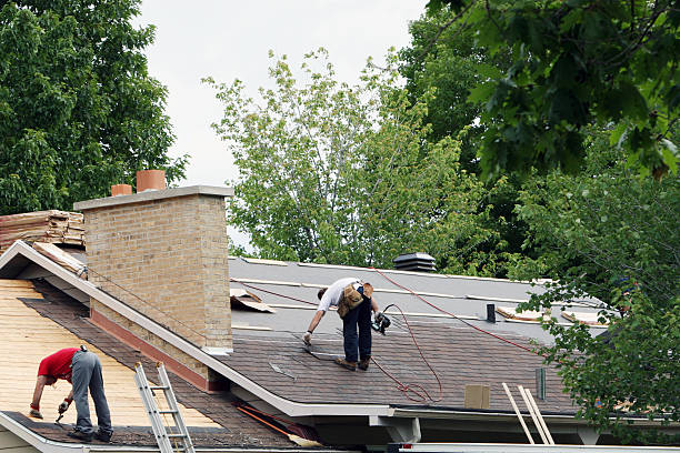 Roof Gutter Cleaning in Keystone Heights, FL
